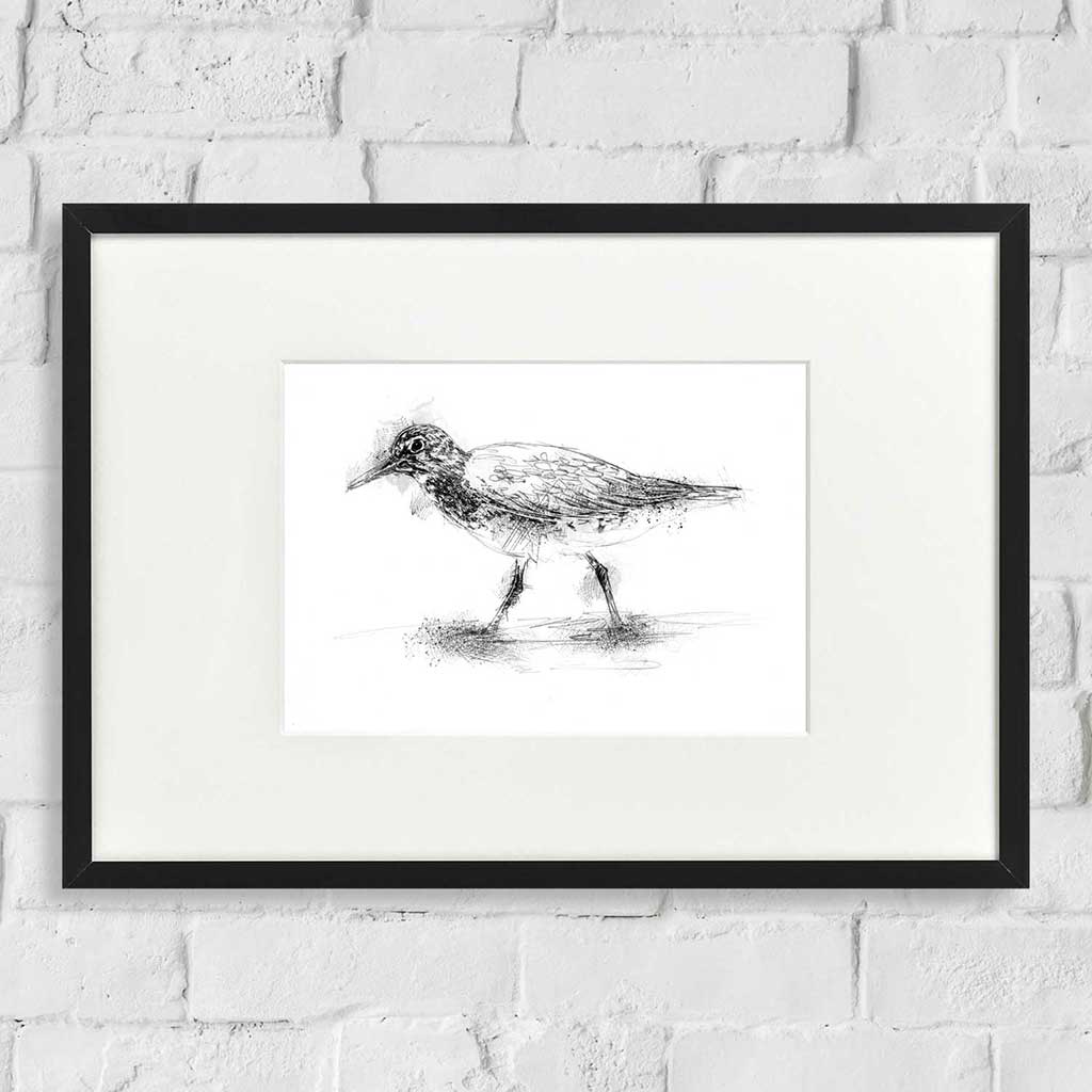 Knot bird