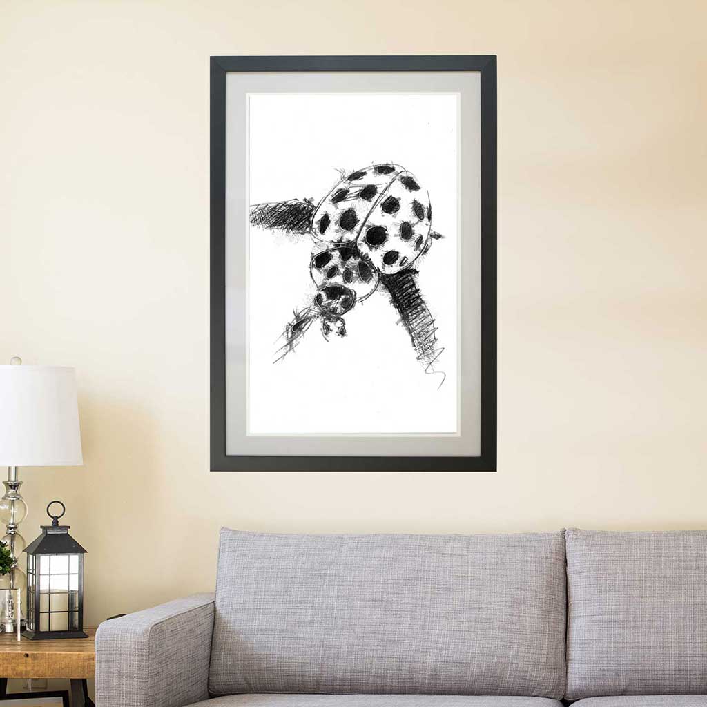 Ladybird
