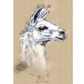 Lama