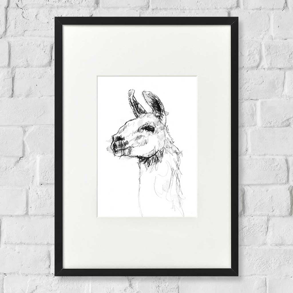 Lama
