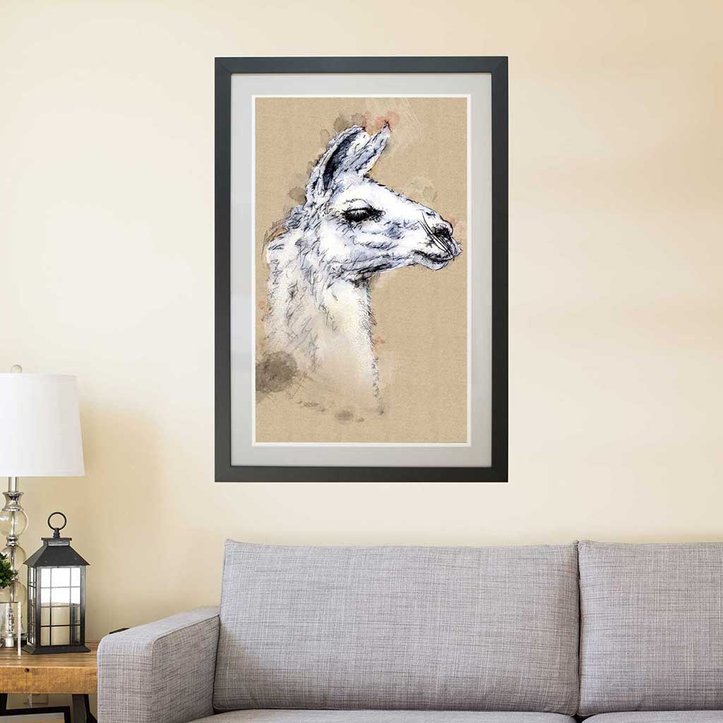 Lama