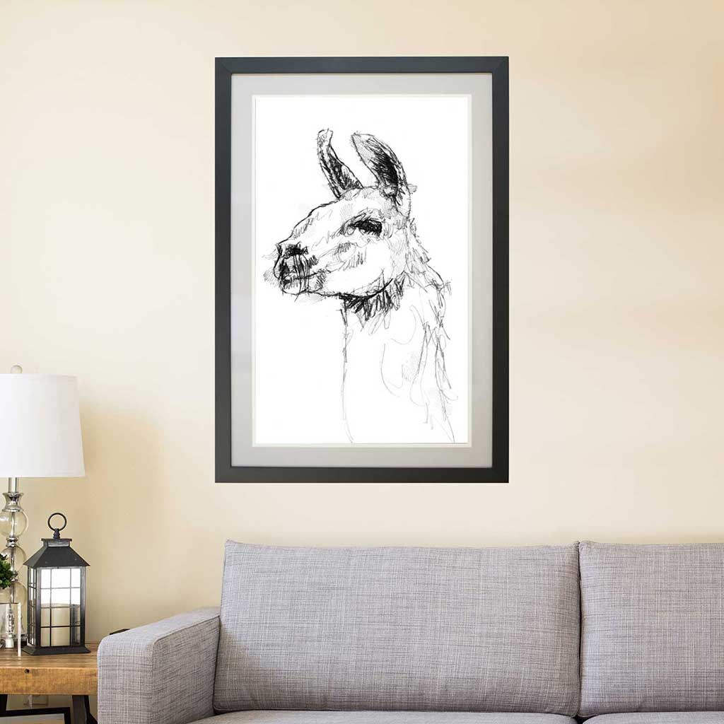 Lama