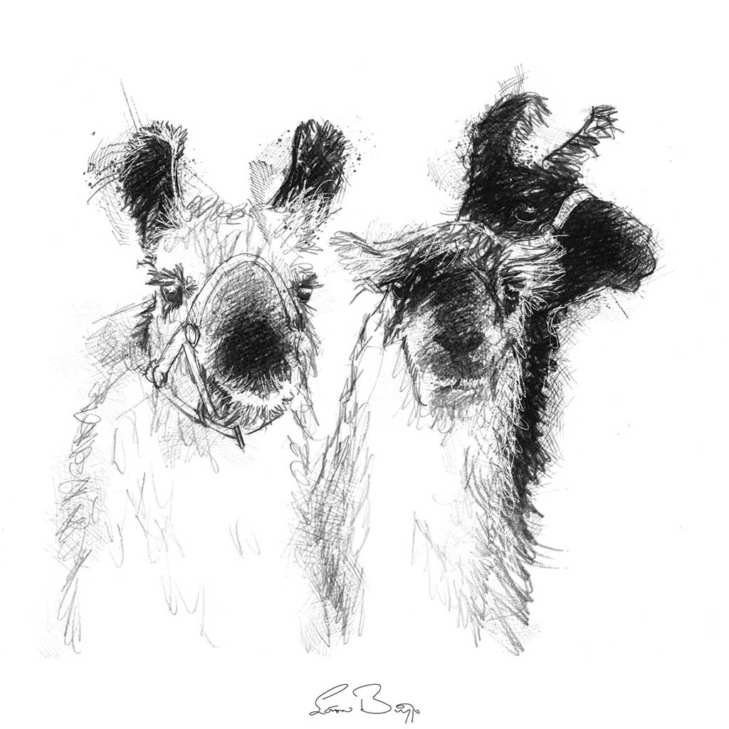Three lamas
