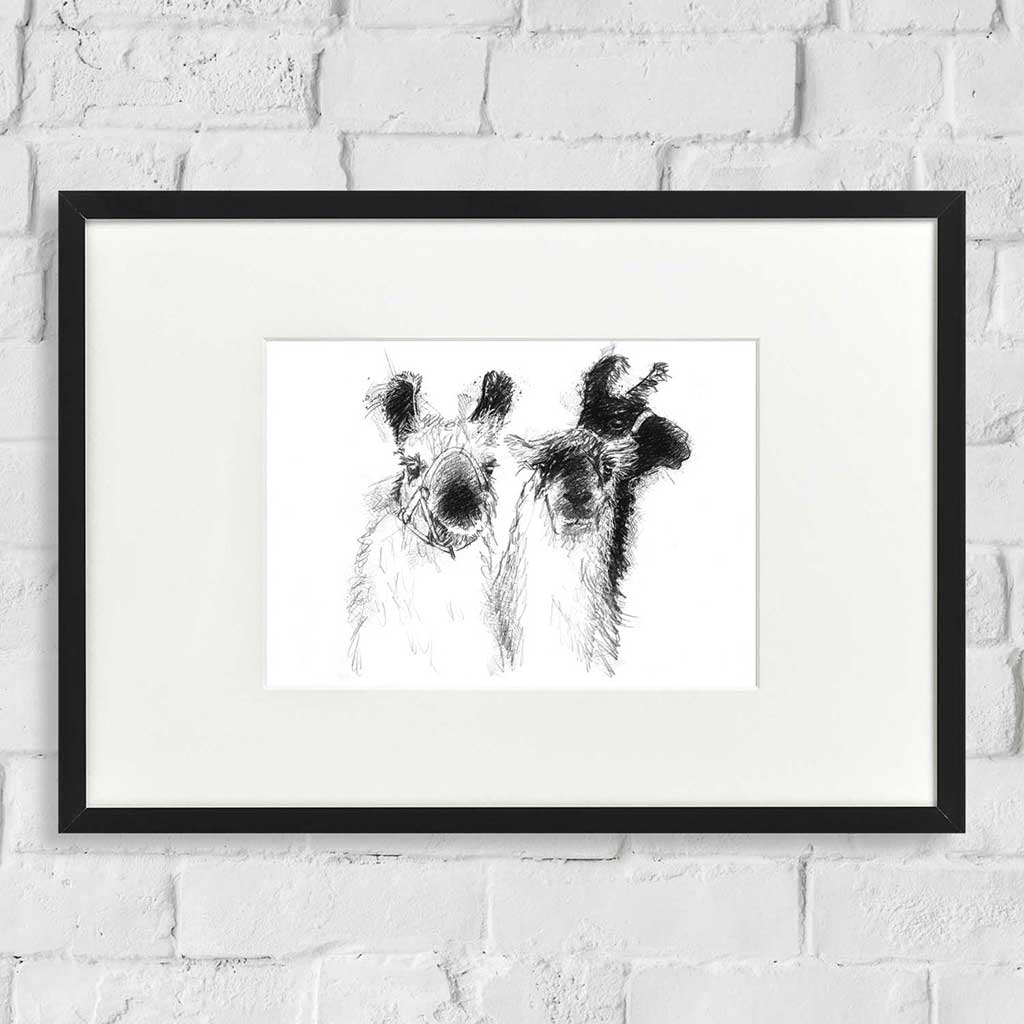 Three lamas