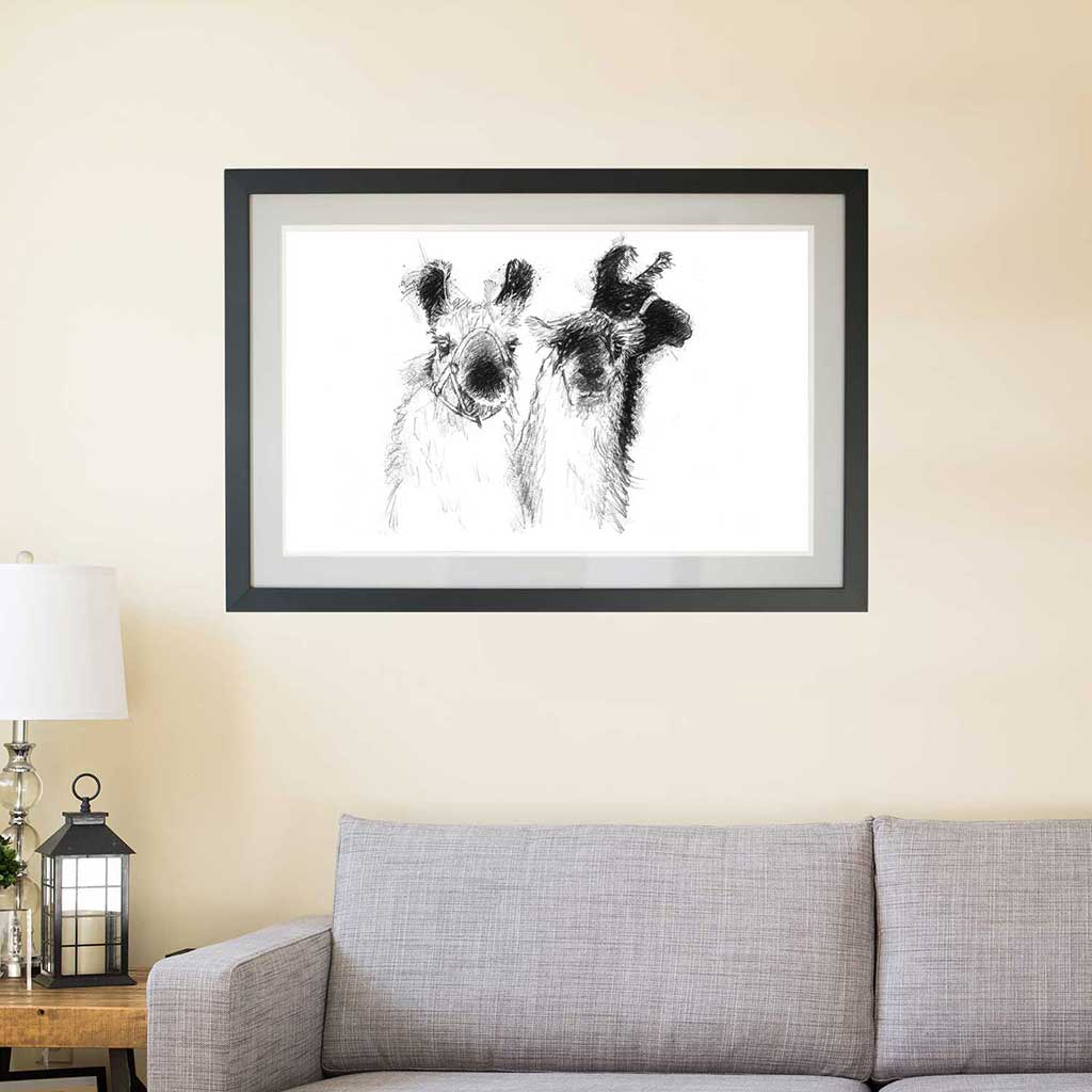 Three lamas