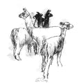 Lamas alert