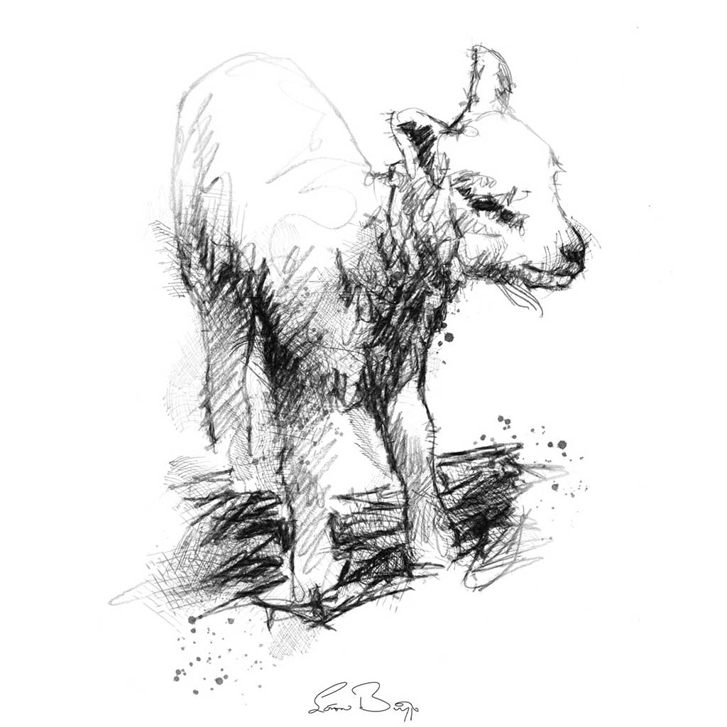 Tiny tiny lamb