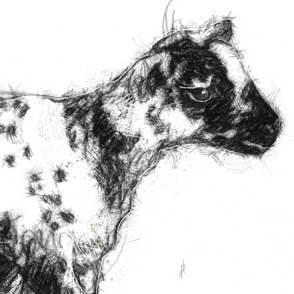 Speckled lamb