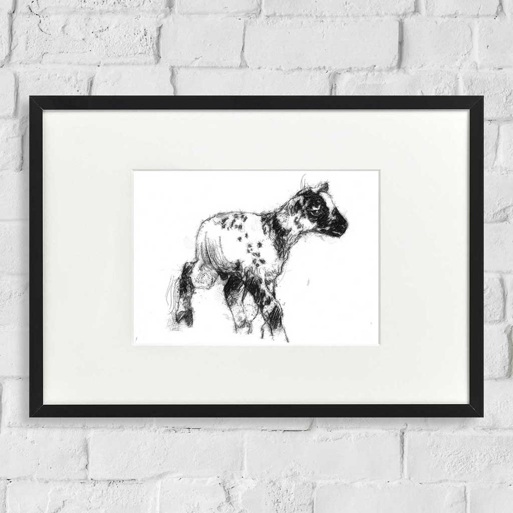Speckled lamb
