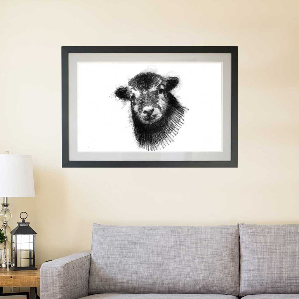 Herdwick Lamb