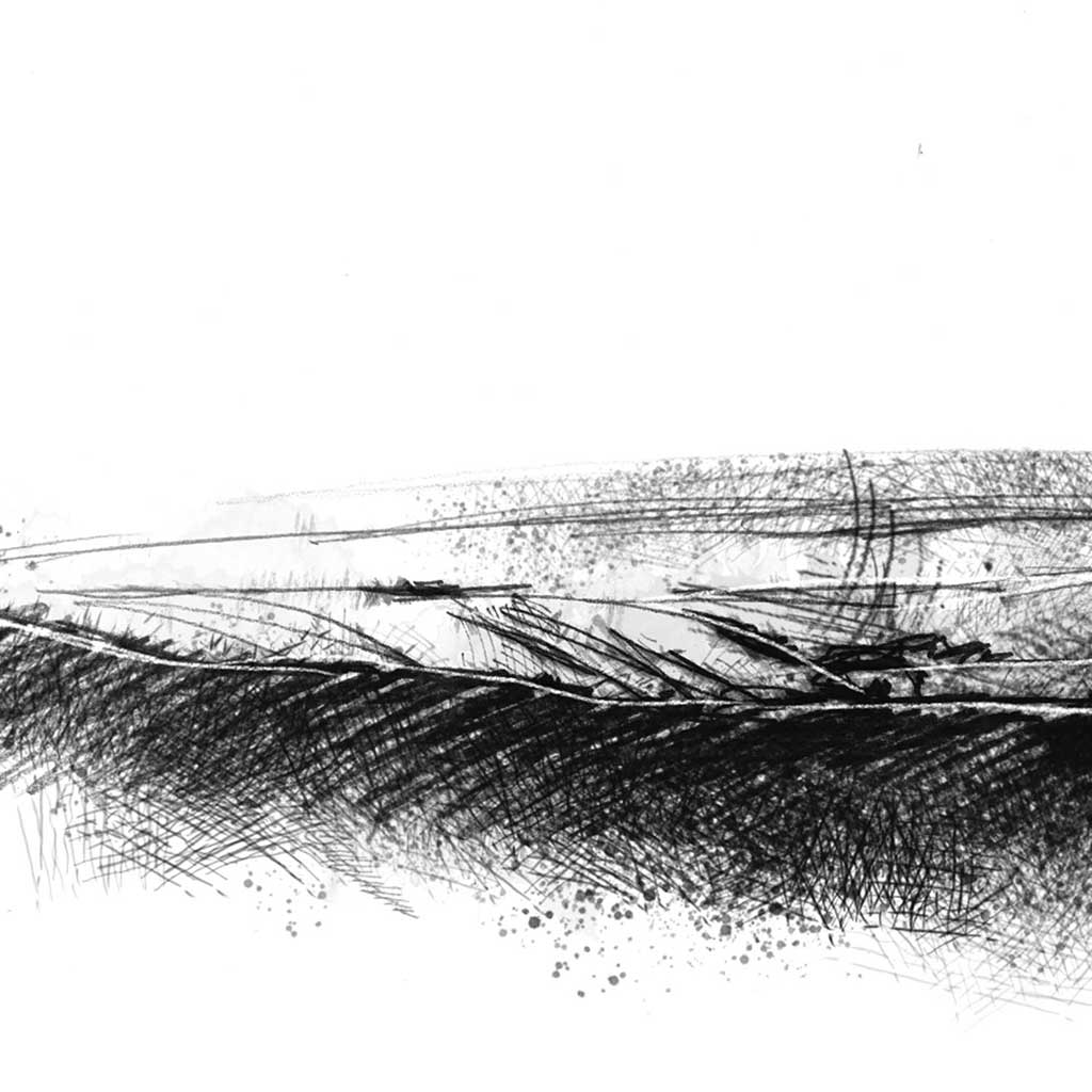 Moorland valley