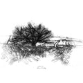 Country lane