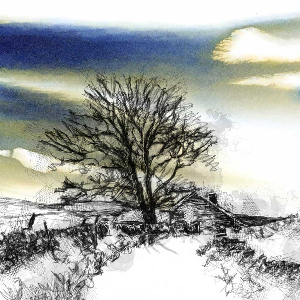 Snowy lane