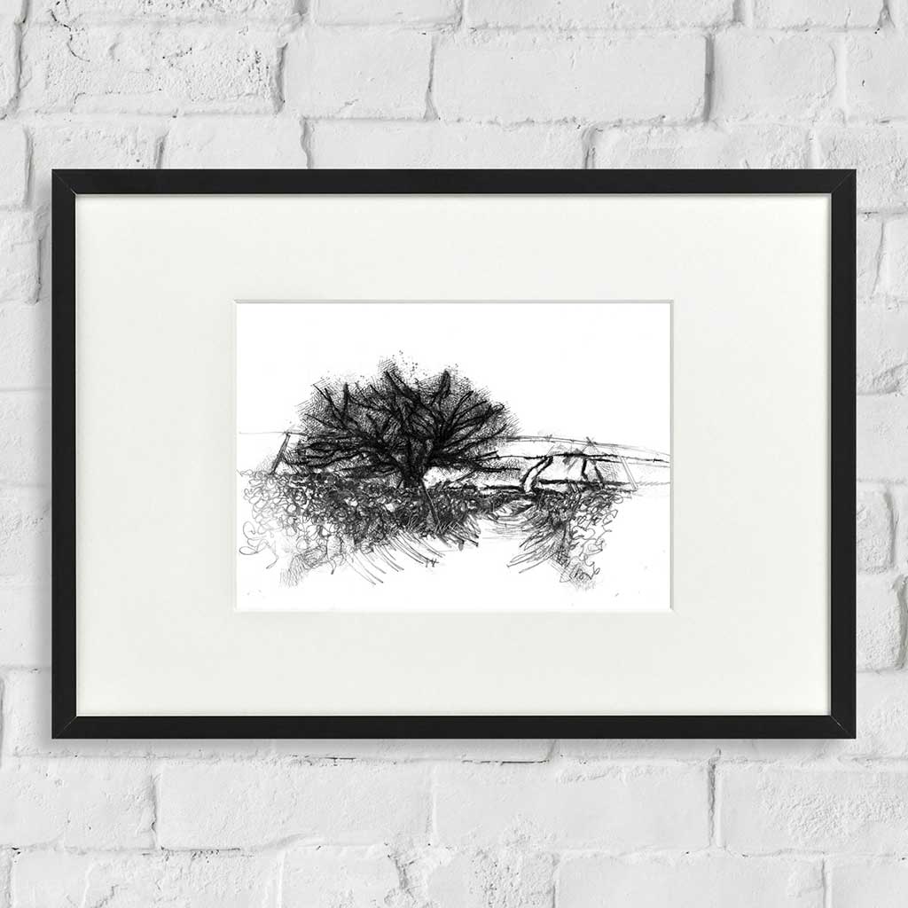 Country lane