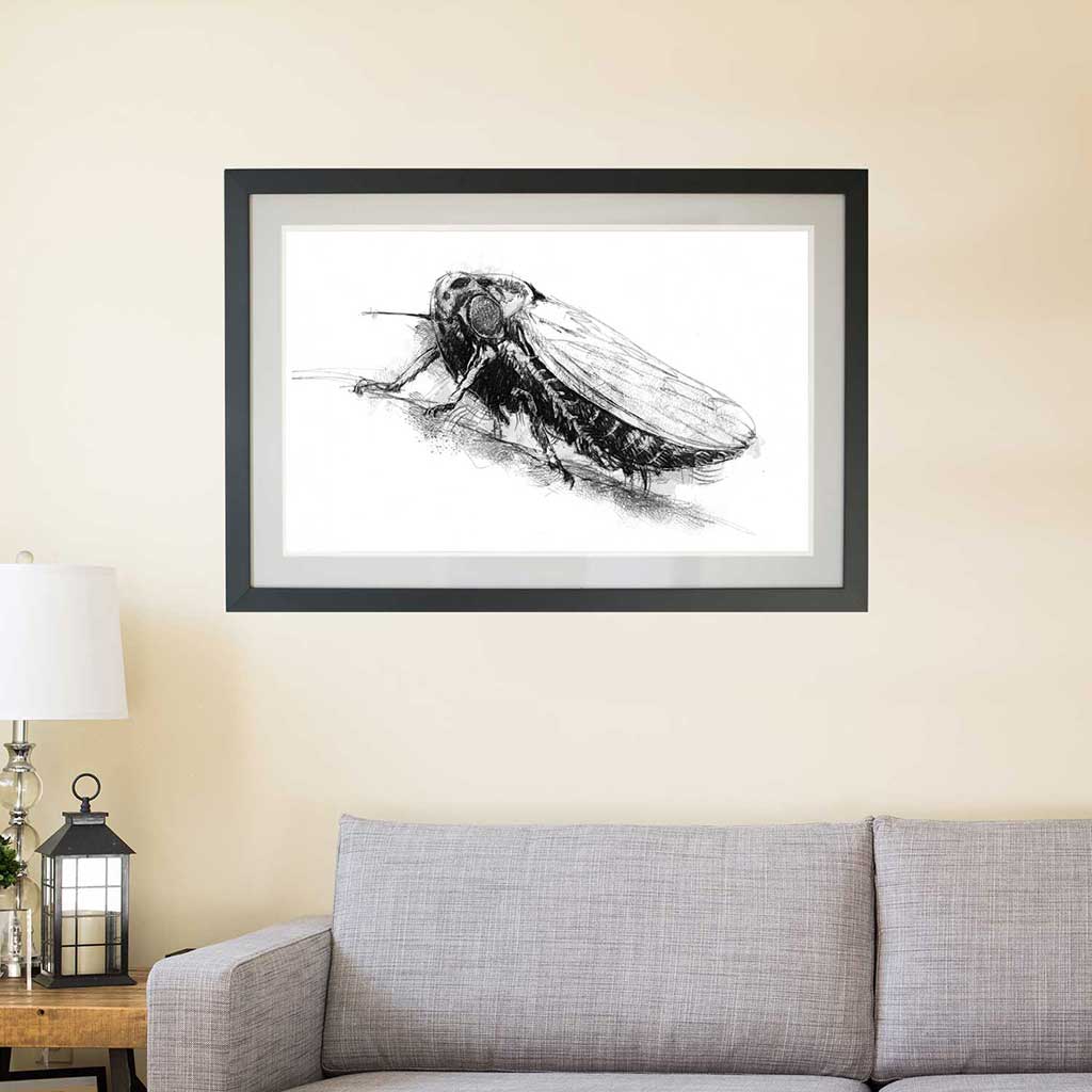 Leafhopper