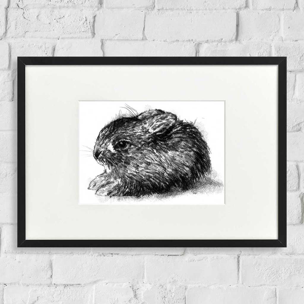 Leveret