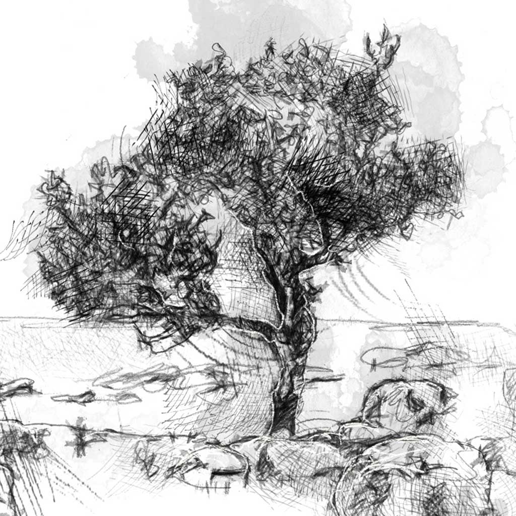 Limestone tree
