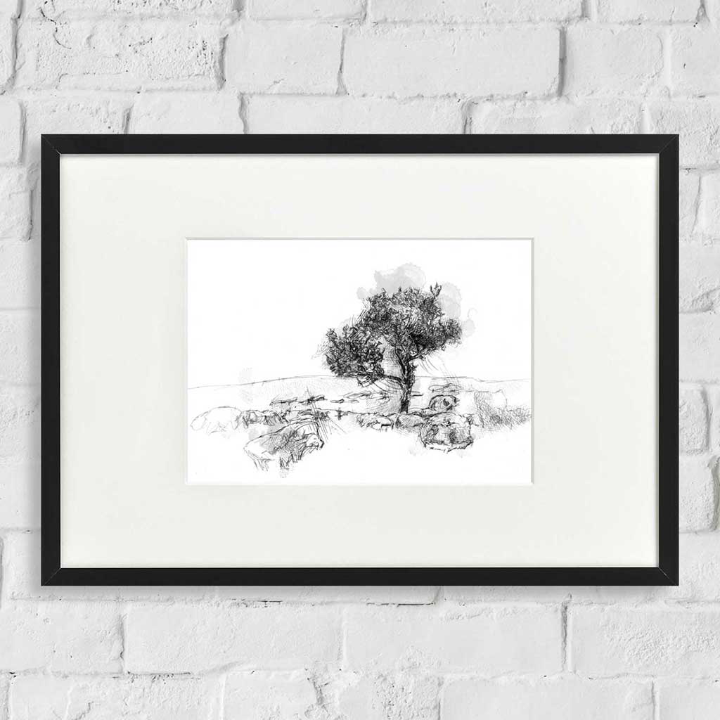 Limestone tree