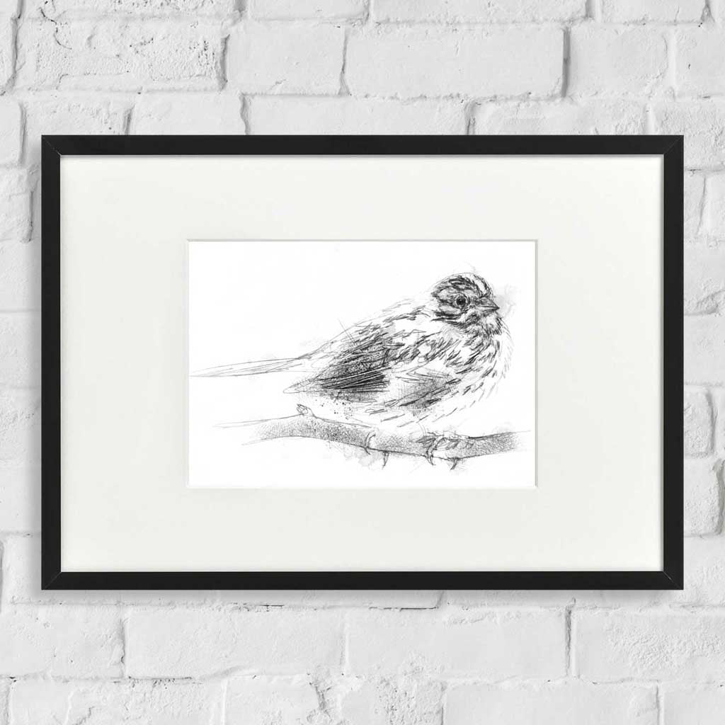 Little bunting