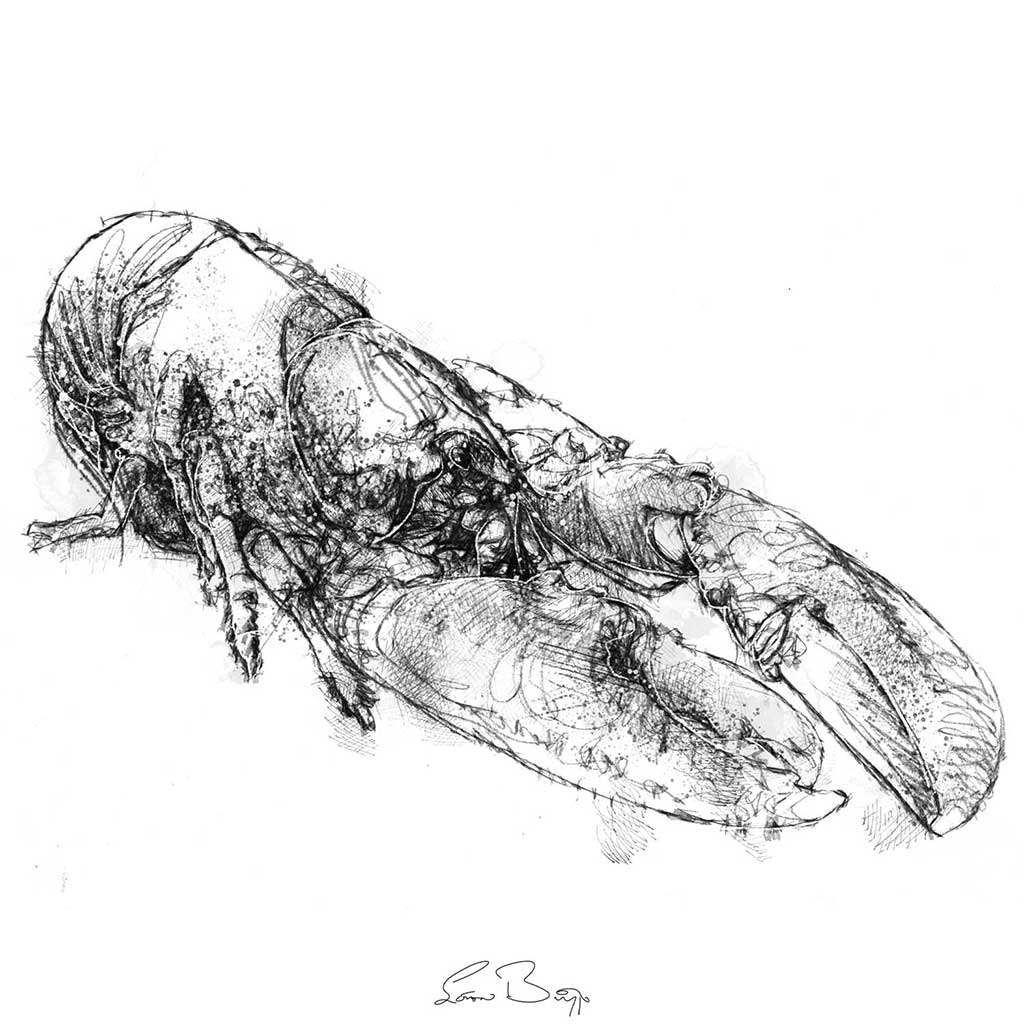 Lobster