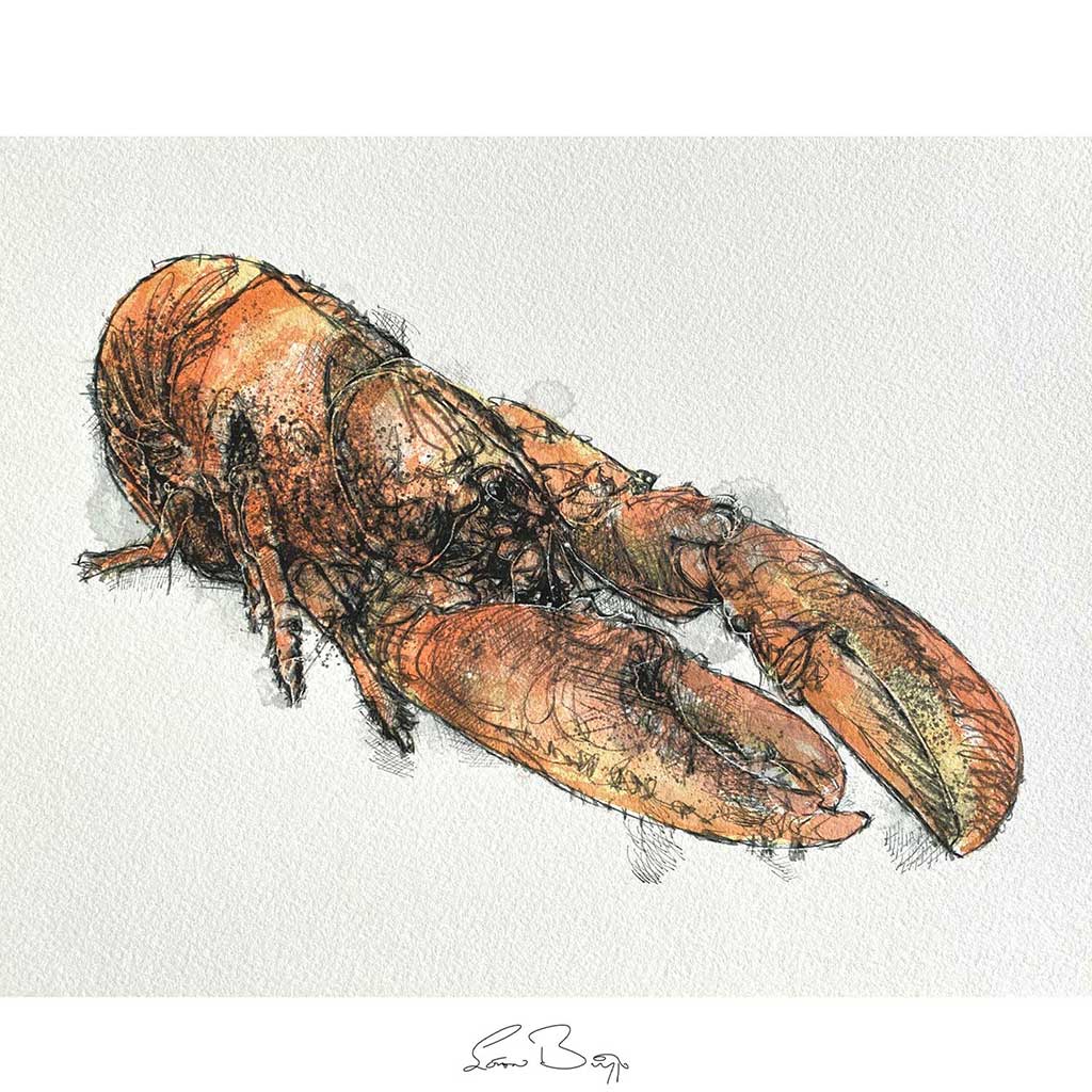 Lobster watercolour sketch