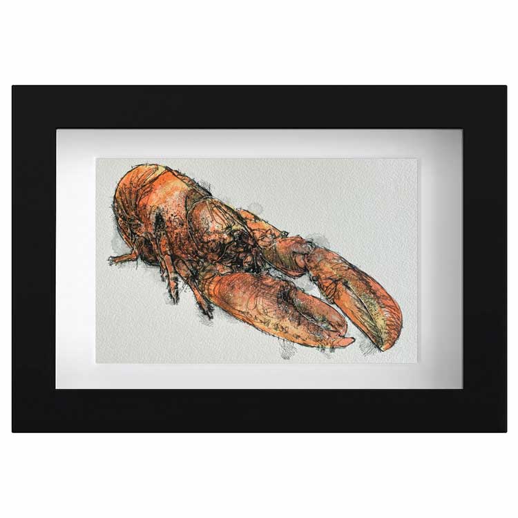 Lobster mini sketch