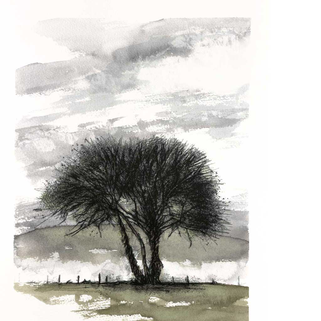 Lone tree