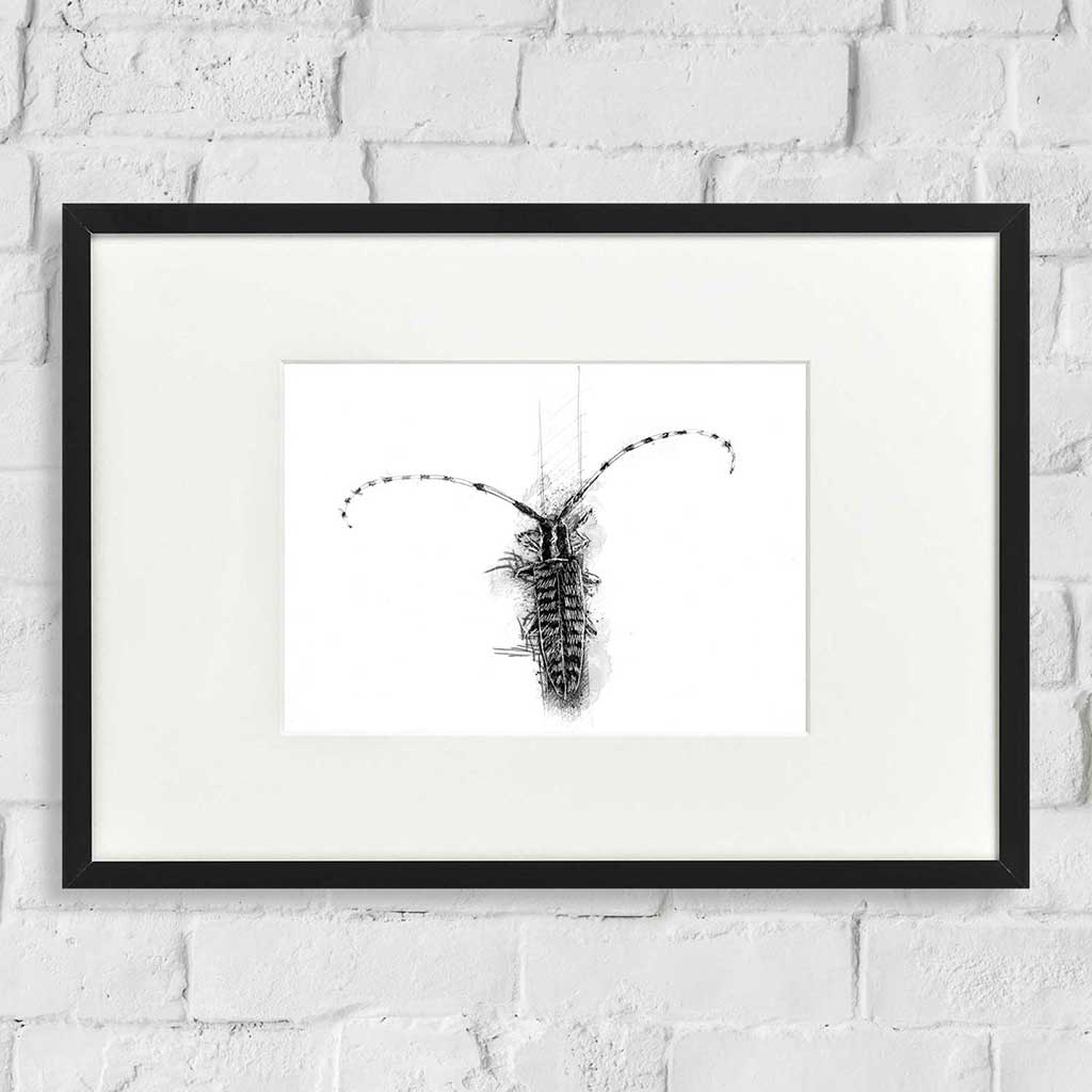 Longhorn beetle