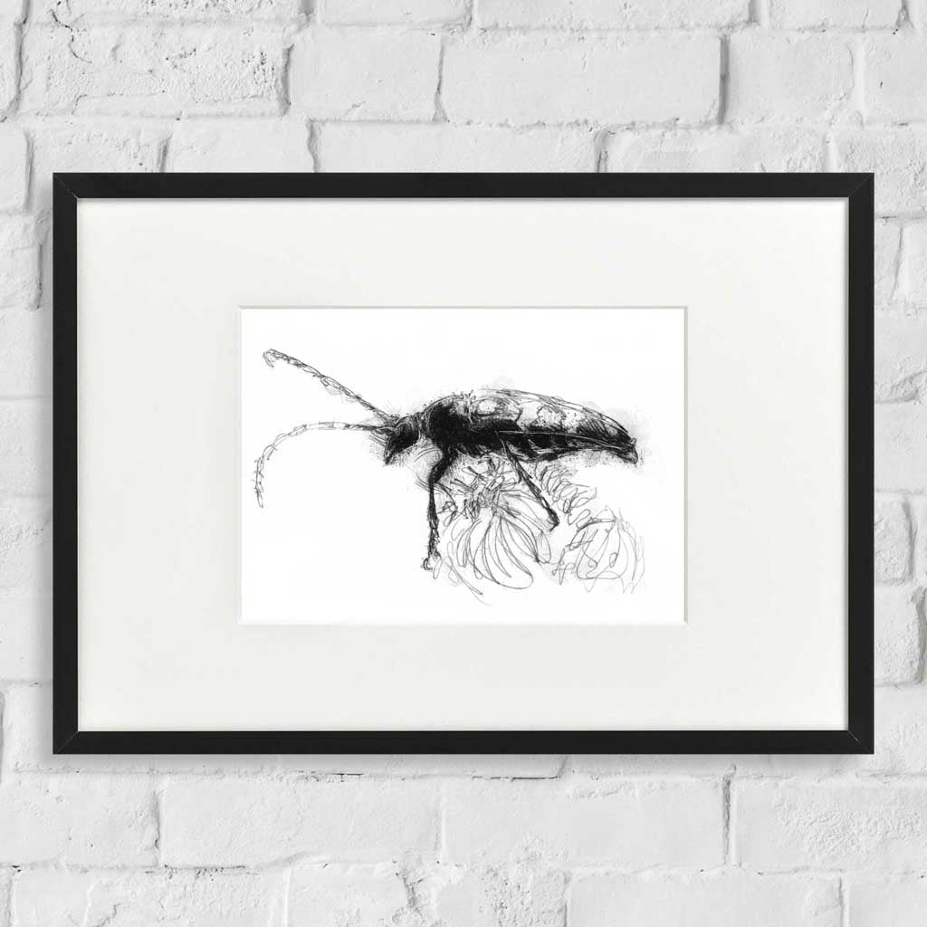Longhorn beetle