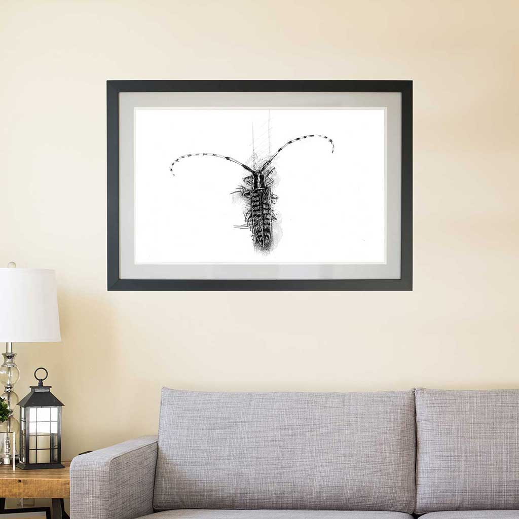 Longhorn beetle