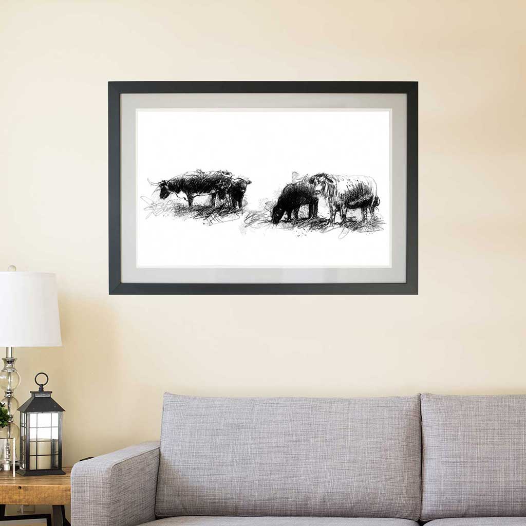 Dartmoor longhorns