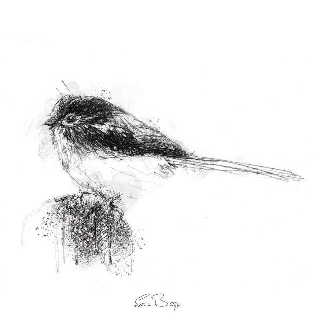 Long tailed tit