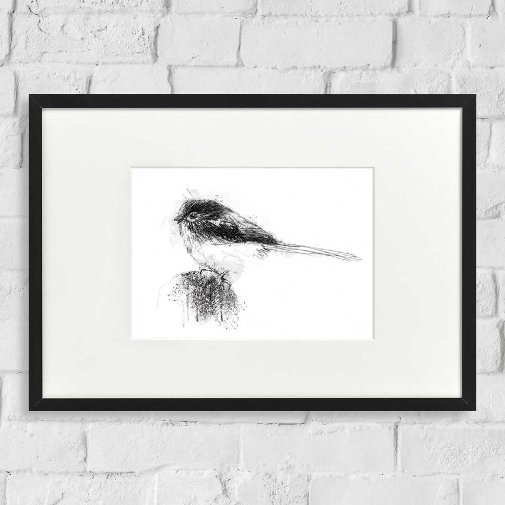 Long tailed tit