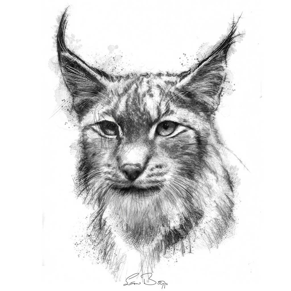 Lynx