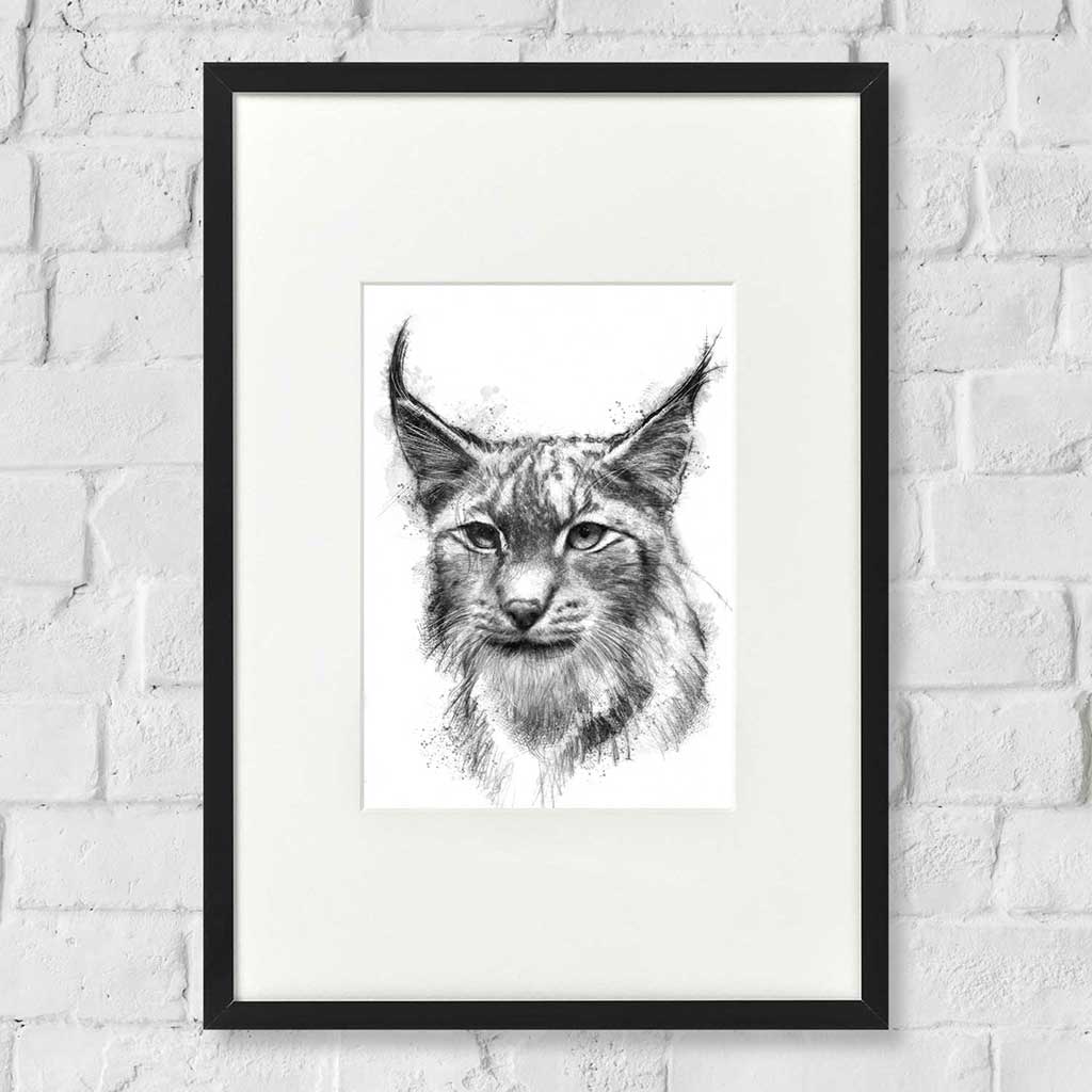Lynx