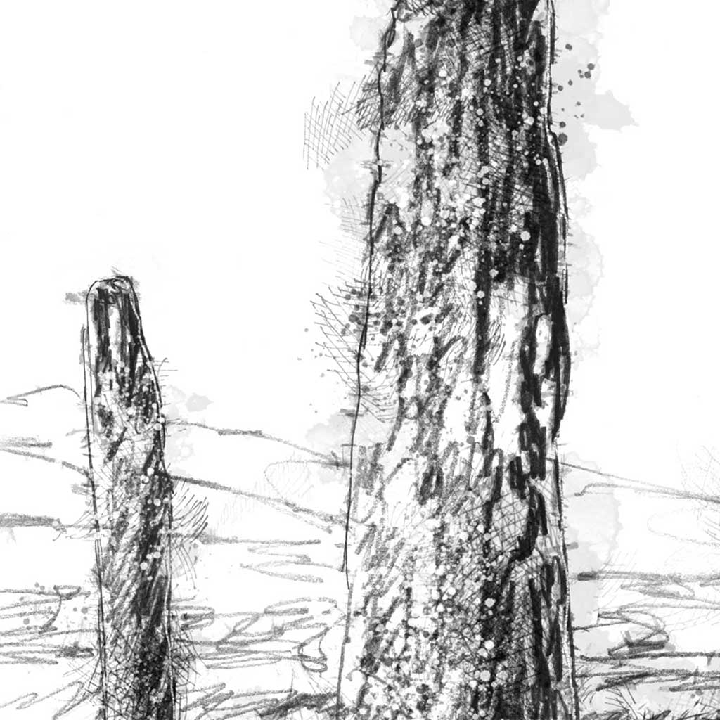 Machrie stones Arran