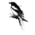 Magpie