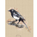 Magpie