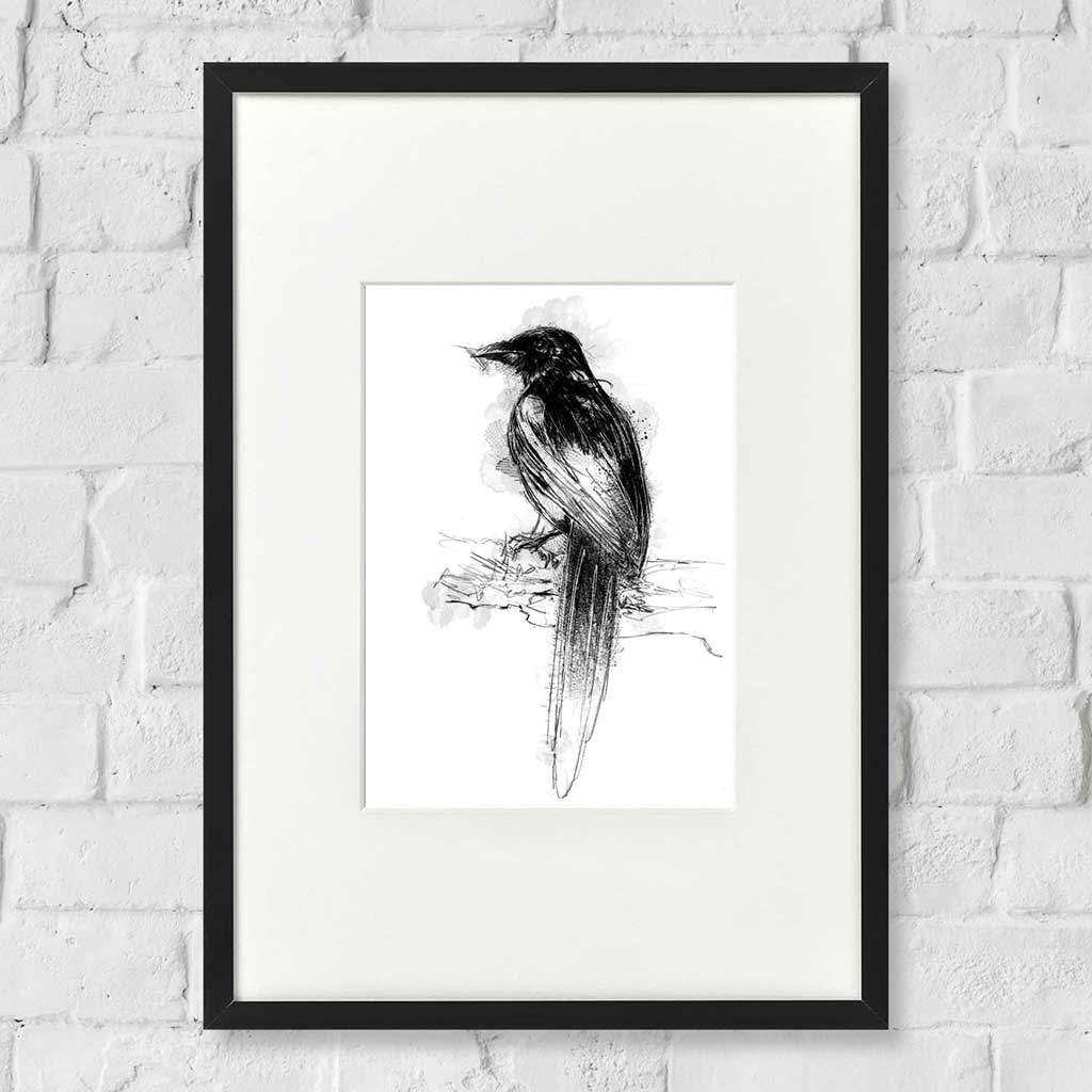 Magpie
