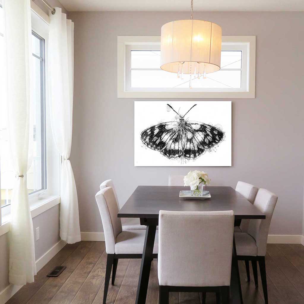 Marbled white butterfly
