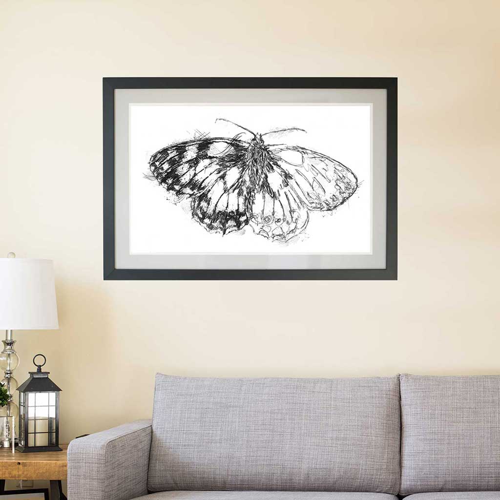 Marbled white butterfly