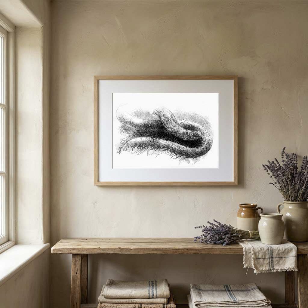 Slow worm - BW Sketch