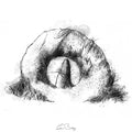 Men an Tol