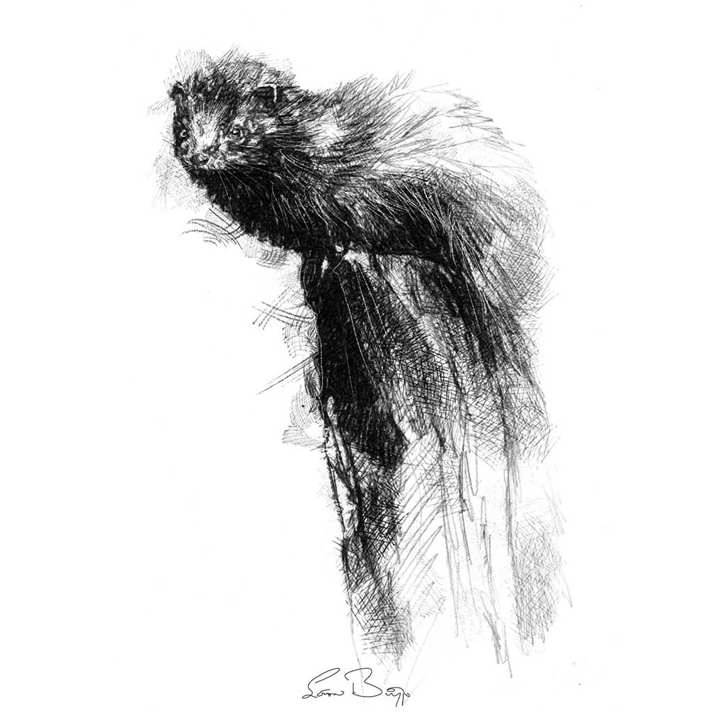 Mink