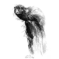 Mink