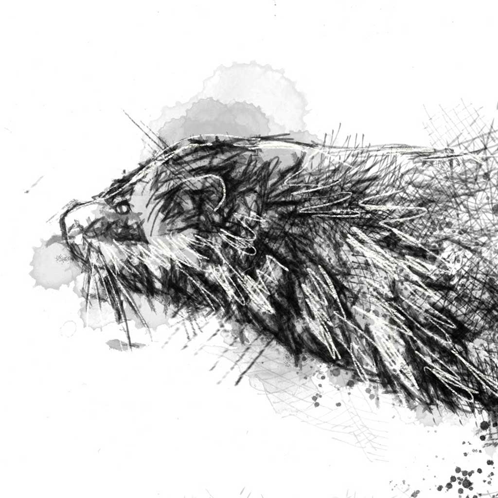 Running mink