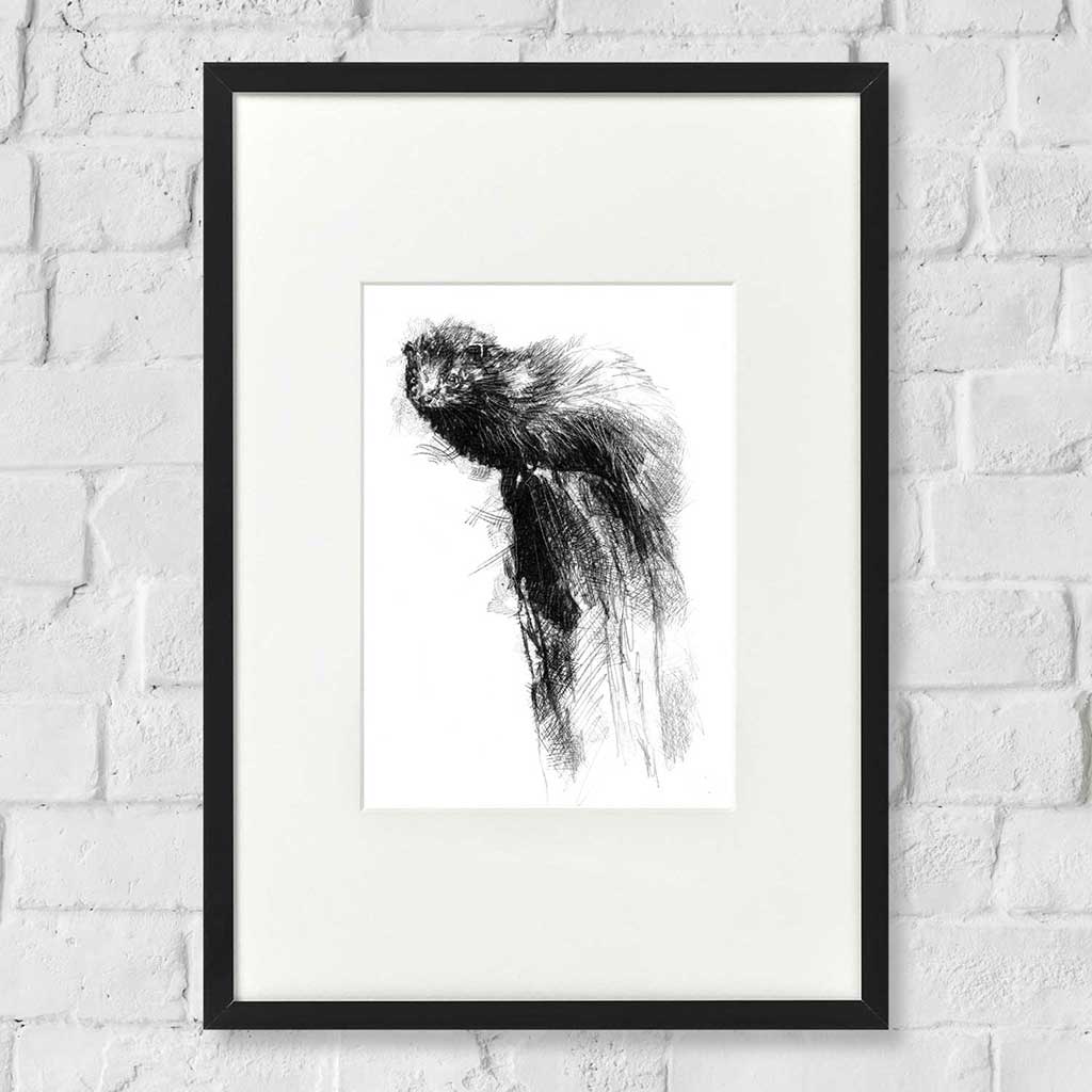 Mink