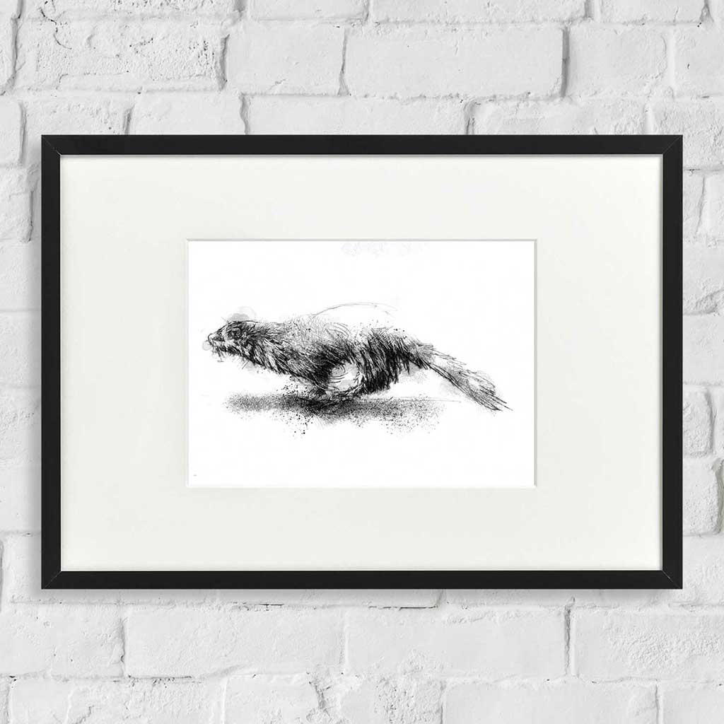 Running mink