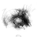 Common mole