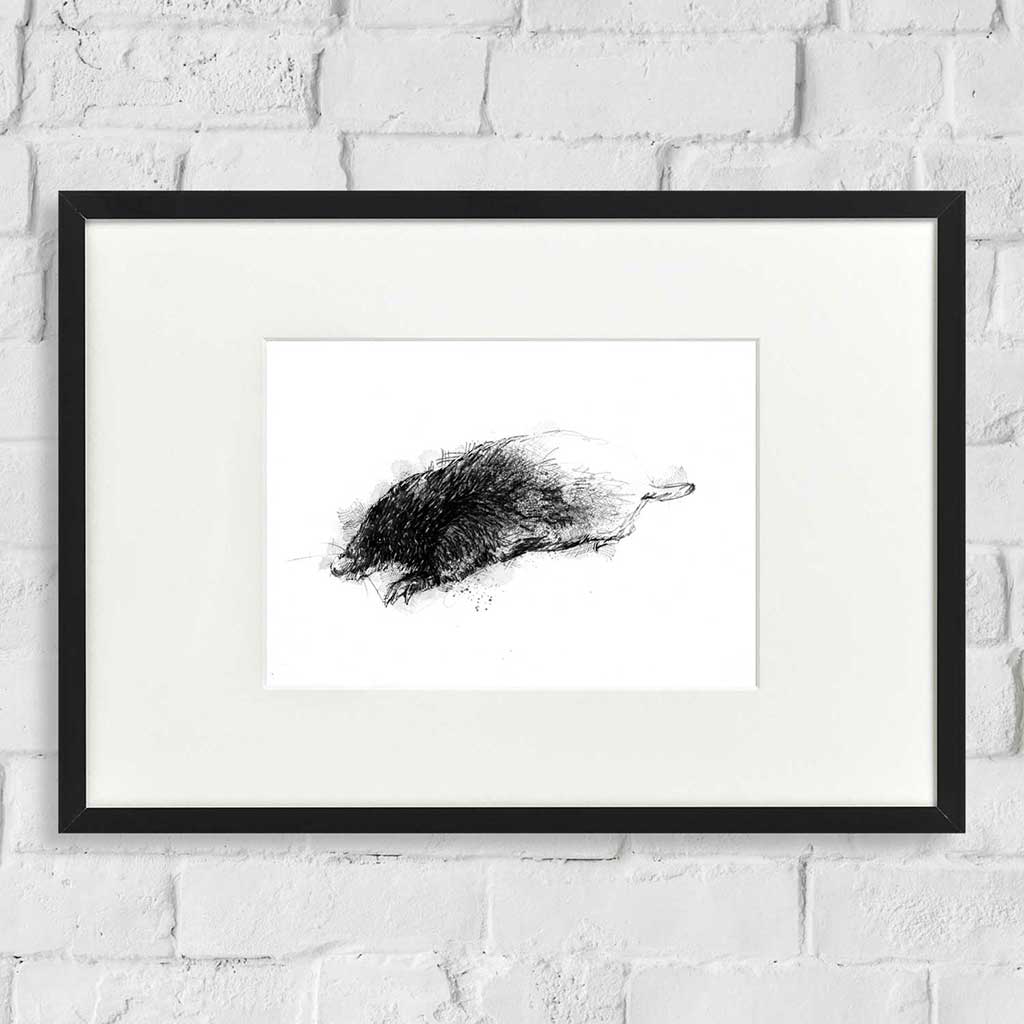 Mole